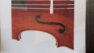 violoncelle