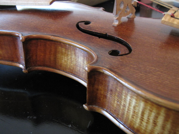 violon