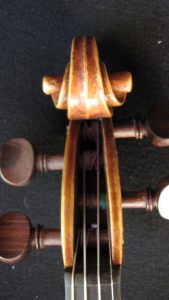 violon