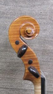 violon